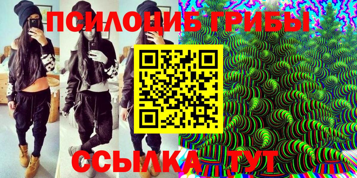 Псилоцибиновые грибы мухоморы  Вход с VPN  купить наркотики сайты  Аксай 