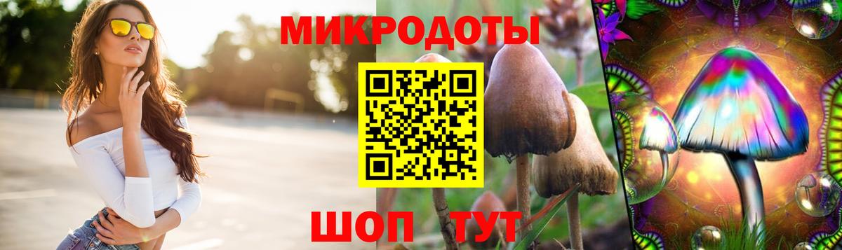 Галлюциногенные грибы прущие грибы Аксай